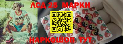 spice Кулебаки