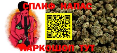 сатива Кумертау